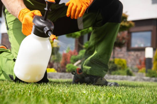 Flea Control Services in Eastlake, OH