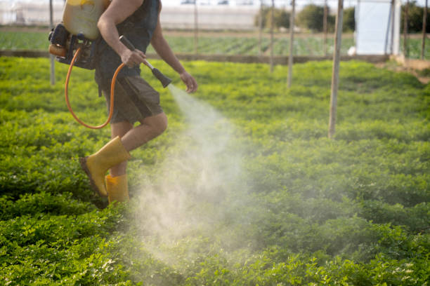 Best Pest Control for Homes  in Eastlake, OH