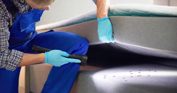Best Pest Control Near Me  in Eastlake, OH