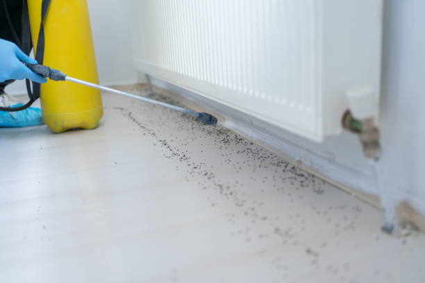 Best Commercial Pest Control Services  in Eastlake, OH